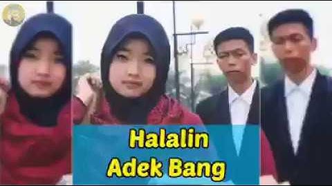 Halalin adek bang