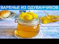 КАК ПРИГОТОВИТЬ ВАРЕНЬЕ ИЗ ОДУВАНЧИКОВ? Ароматное и яркое варенье из одуванчиков на зиму в банках