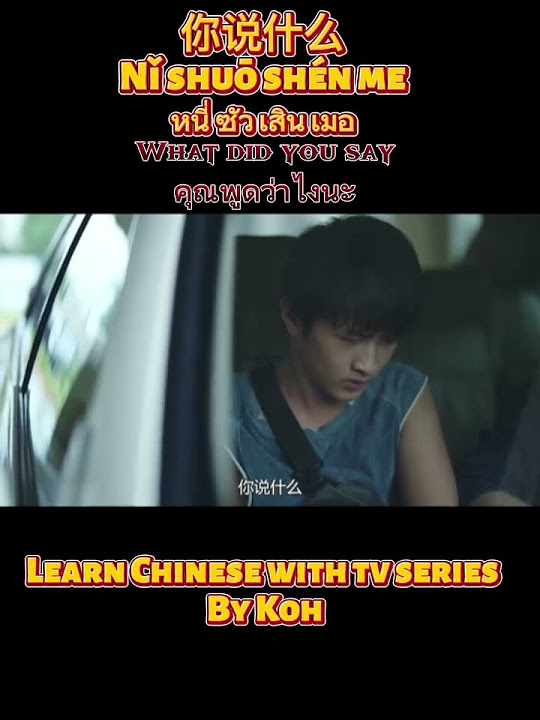 how-to-say-what-did-you-say-in-chinese