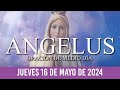 Ángelus de Hoy JUEVES 16 DE MAYO DE 2024 ORACIÓN DE MEDIODÍA