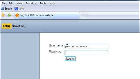 Instant IMtegrity Archives for IBM Sametime Web Overview