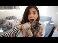 Surprising Girlfriend With Baby Kittens!!!