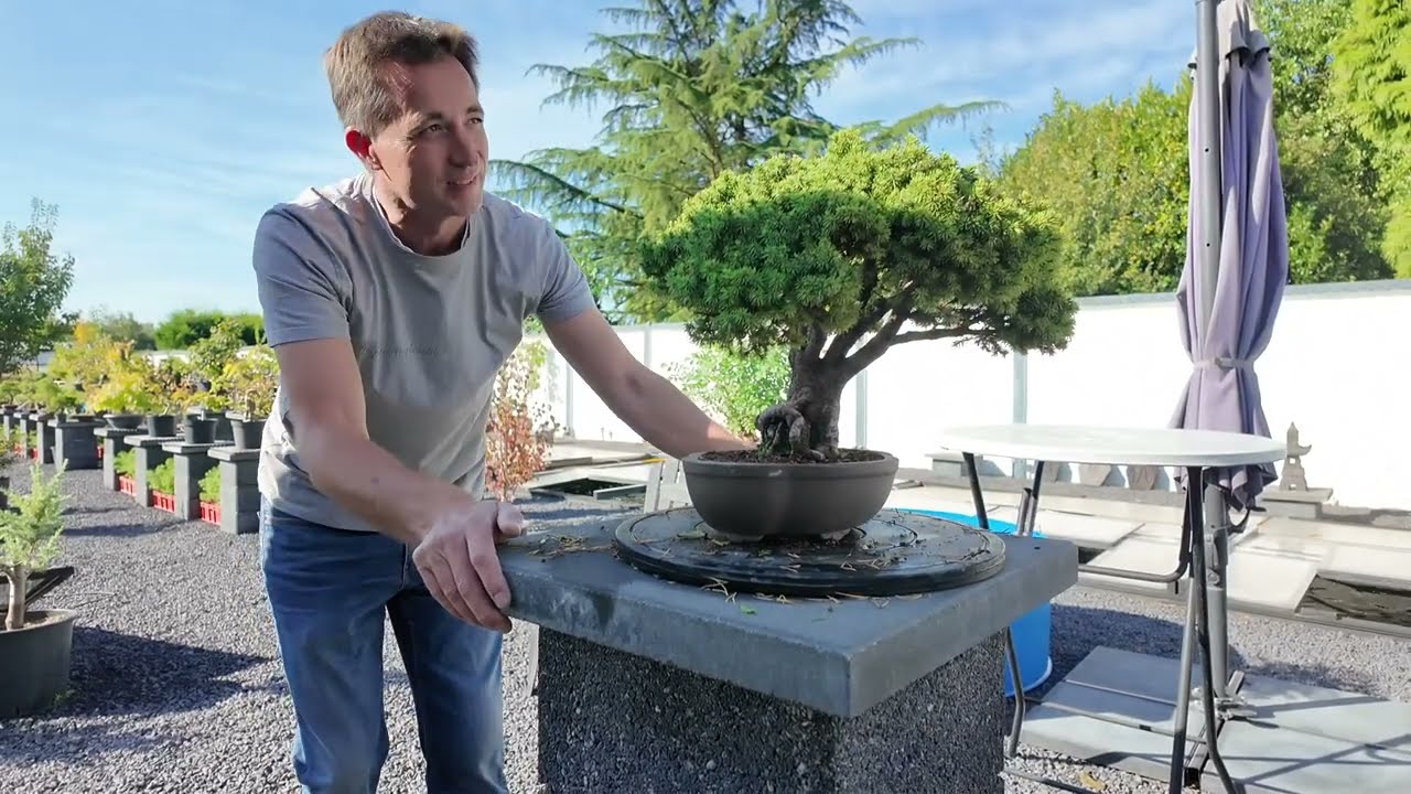 Bonsai Workshop mit Jelle Ferwerda