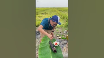 Cá lóc nướng rơm | chill miền tây