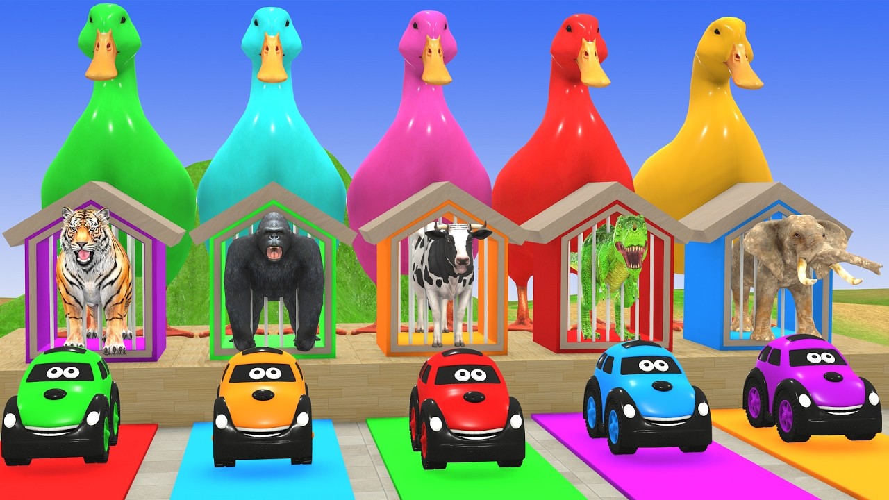 الليلة الأولى ليالي الامتحان الأخيرة ثالثة ثانوي ٢٠٢٥ مع أ محمد صلاح