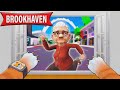 Grandma Goes Missing in ROBLOX (I Am Cat VR)