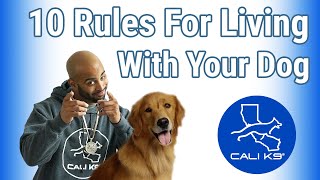 10 Rules For Living With Your Dog
