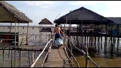 Biển Tân Thành , Gò Công Tiền Giang