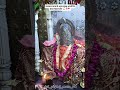 #पपलाज_माता_मंदिर_घाटा_लालसोट #meenakariearrings #instagrammer #meenageet #पपलाज_माता_मंदिर_घाटा_