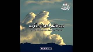 Heart Touching Quran Recitation for Deep Soul Healing and Peace #HolyQuran #QuranRecitation