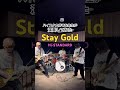【ハイスタと言えばやっぱり】#staygold #histandard #ハイスタ #弾いてみた #演奏してみた #演奏動画 #ギター #バンド #音楽教室 #shorts #shortsmusic