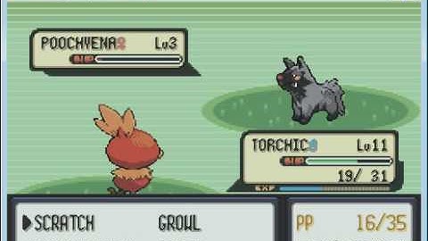 pokemon emerald 100% walkthrough part 3