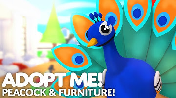 New Peacock Pet and Container House Update! | Roblox Adopt me