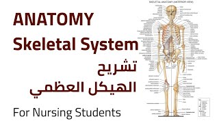 Skeletal System Anatomy | تشريح الهيكل العظمي