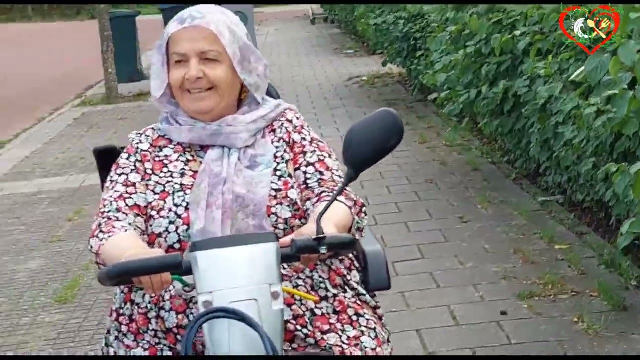 جولة في هولندا