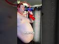 What REALLY Happens When You Swallow Mentos and Coke 😳
