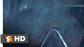 Jaws (1975) - Hooper in the Cage Scene (8\/10) | Movieclips