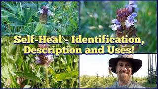 SelfHeal AKA HealAll  Identification and Description