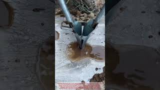 Fast Mulch Planting Routine: Watch Punch Planters Pierce Film and Lock Plugs in Seconds