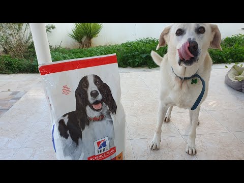 Hill's SCIENCE PLAN ADULT 1-6 MEDIUM 11-25 KG with CHICKEN