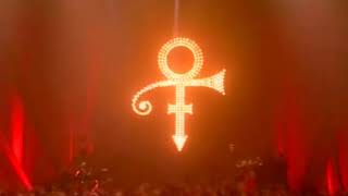 Watch Prince Laydown video