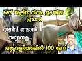ആട് വളർത്തൽ | മലബാറി ആടുകൾ | Goat Farming Tips Kerala | Aadu Valarthal Krishi Malayalam | Goat Farm
