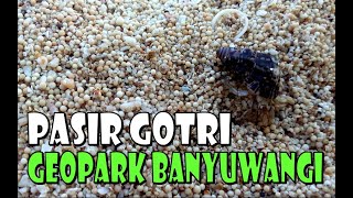 7 DESTINASI GEOPARK BANYUWANGI | SLIDE SHOW | Wisata Banyuwangi