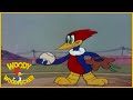 Woody Woodpecker The Screwball Full Episodes 