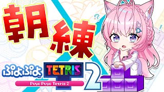 【ぷよテト2】朝から視聴者参加型でテトリス練習！！速さが足りない！！！【博衣こより/ホロライブ】
