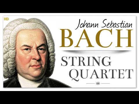 Videó: Bach vonósnégyeseket írt?