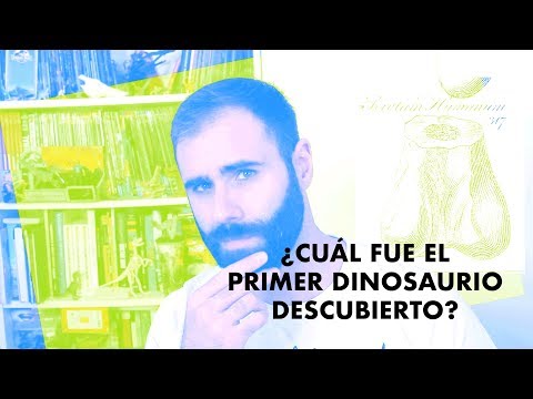 Video: ¿Cuándo se descubrió el primer dinosaurio?