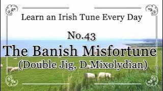 043 The Banish Misfortune (Double Jig, D Mixolydian) Learn an Irish Tune Every Day.