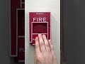I Pulled The Fire Alarm 