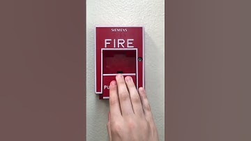 I pulled the fire alarm!!