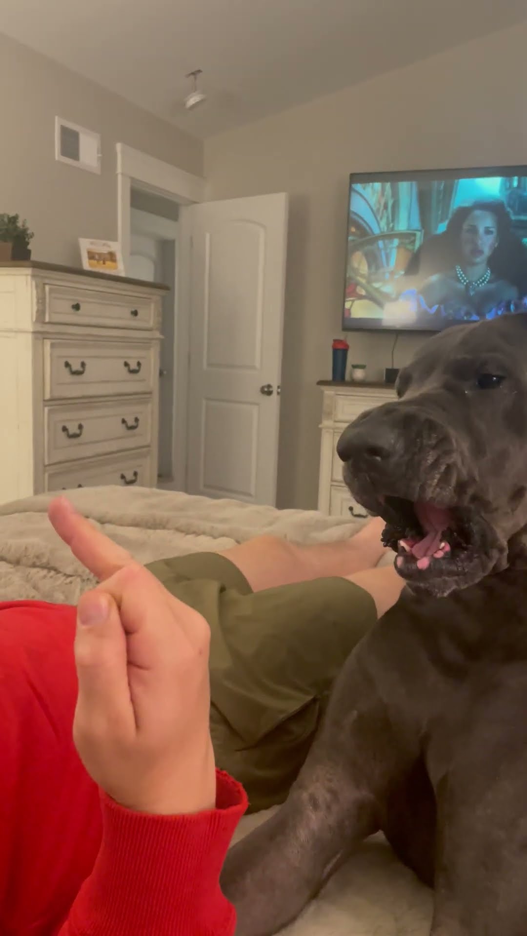 Dog Demands Respect! || ViralHog