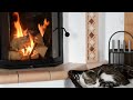 Purring Cat Sound For Relaxation Cats Purr Sounds &amp; Crackling Fireplace