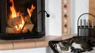 Purring Cat Sound For Relaxation Cats Purr Sounds &amp; Crackling Fireplace