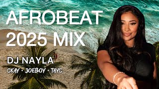 Afrobeat Mix 2025  Vibe With Nayla  Wizkid  Burna Boy  Tekno  Rema  Fireboy Dml  Ckay