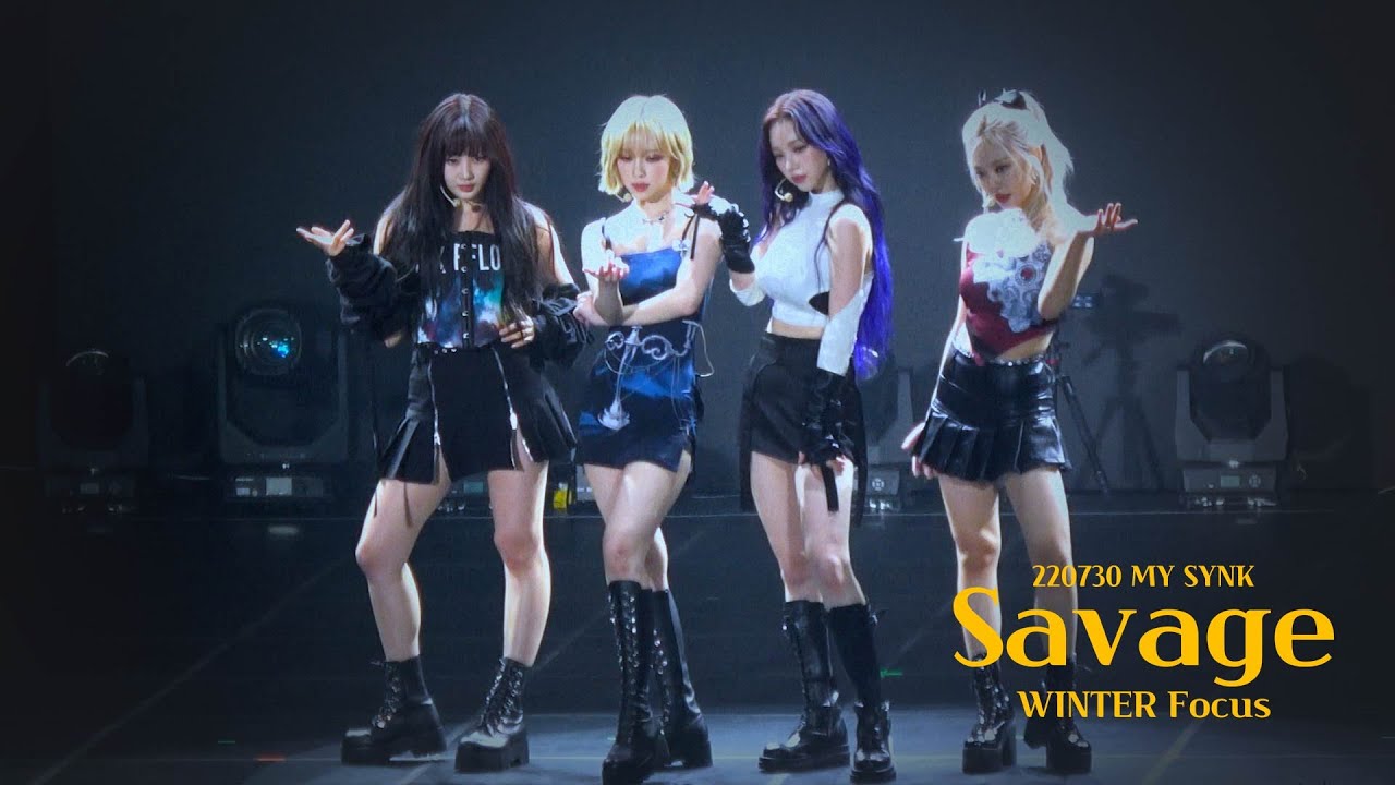 220730 에스파 팬미팅 MY SYNK Savage 윈터 직캠 aespa WINTER Focus