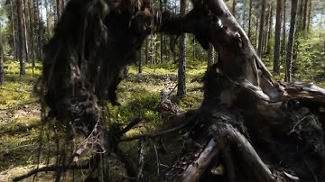 3D Gaussian Splatting Demo - The Forest