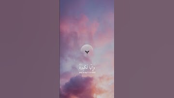 سورة البقرة | القارئ شريف مصطفى