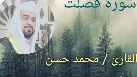 تلاوة من ليالي رمضان لسورة فصلت ..بصوت القارئ / محمد حسن
