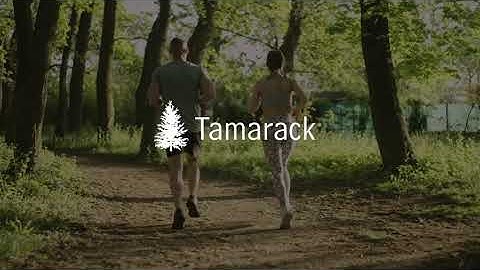 Tamarack \ ENGO - Healing & Preventing Skin Damage