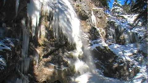 Box Codax - Hellabuster