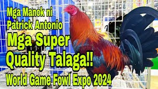 Celebrity Patrick Antonio..Puro Quality Talaga Manok. Profile