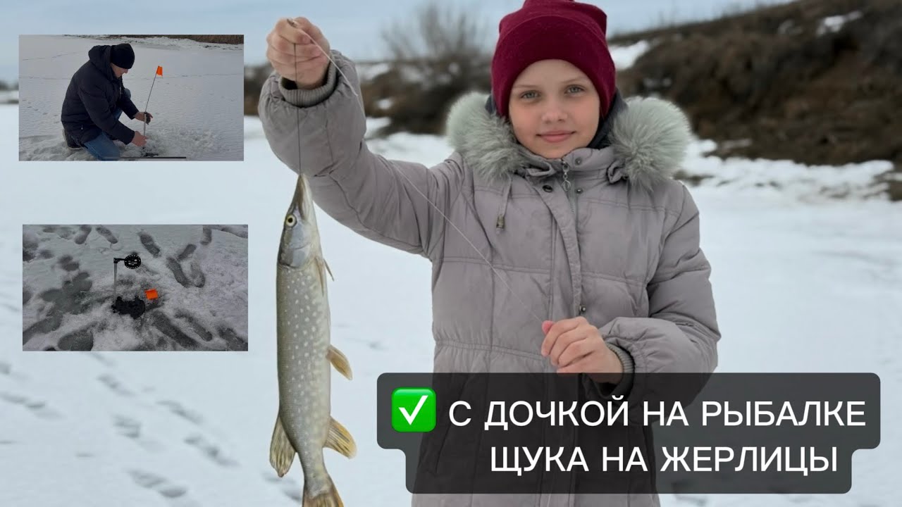 ЩУКА НА ЖЕРЛИЦЫ. РЫБАЛКА НА ЩУКУ