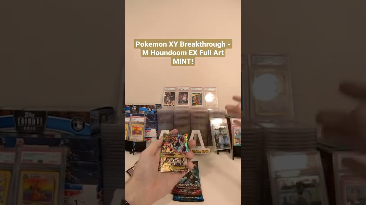 Pokemon XY Breakthrough M Houndoom EX Full Art 