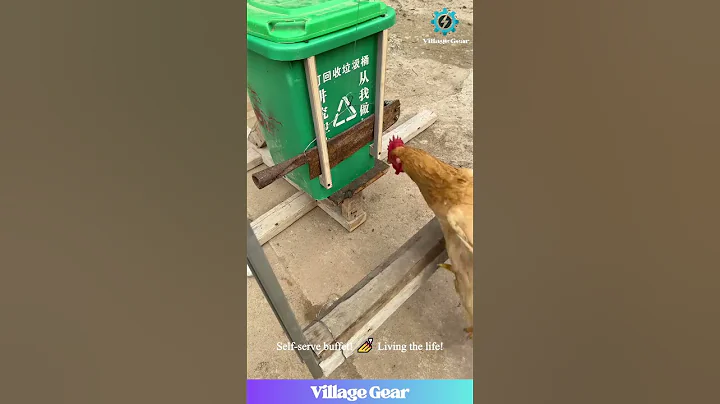 Smartest Chickens EVER? 🐔 These DIY Feeders are Next Level! #chickens #DIYhacks #funnyanimals