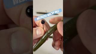 🔥HOW TO Weedless WACKY RIG!🎣🔥#fishing #bassfishing #fishingtips #wackyrig #howto