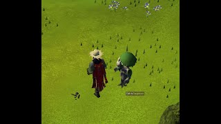How I got 200m exp Farm run in order - [Every Herb/Flower + Tree Patch]
